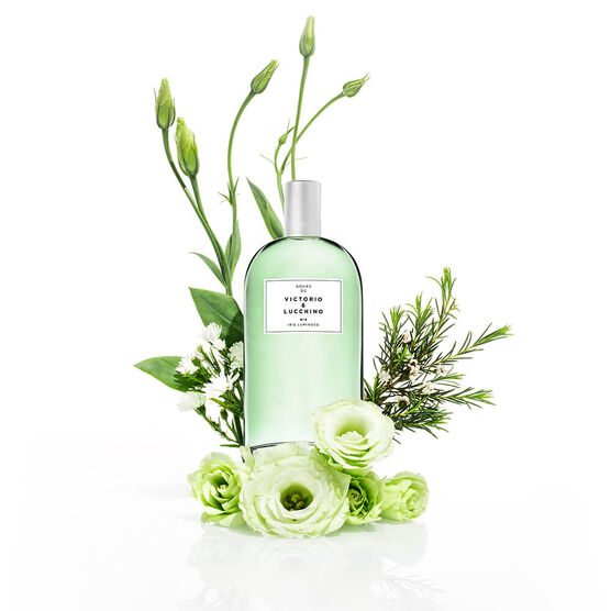 Perfume Victorio & Lucchino N&ordm; 3 Iris Luminoso Feminino Eau de Toilette